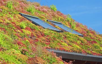 Llanerch living roof systems