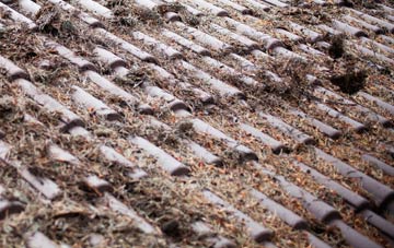 Llanerch roof cleaning companies