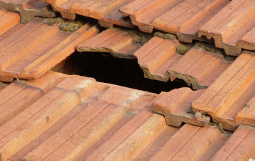 roof repair Llanerch, Powys